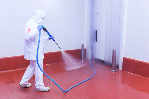Best Sidewalk and Walkway Cleaning  in Clermont, FL
