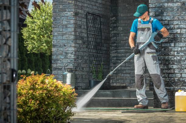 Best Graffiti Removal  in Clermont, FL