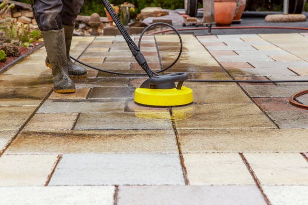Best Solar Panel Cleaning  in Clermont, FL